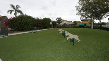 Dog park